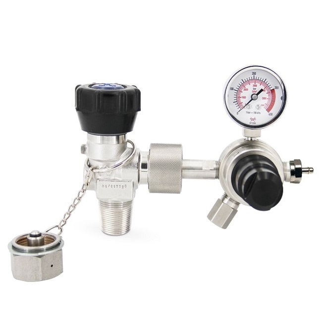 Bellow double stage high pressure regulator for NO gas mixtures - DI235